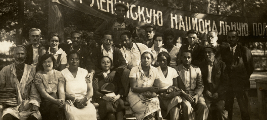 The Russian Revolution, Black Bolshevichki and Social Reproduction -  Viewpoint Magazine